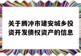 关于腾冲市建安城乡投资开发债权资产的信息