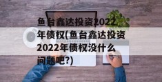 鱼台鑫达投资2022年债权(鱼台鑫达投资2022年债权没什么问题吧?)