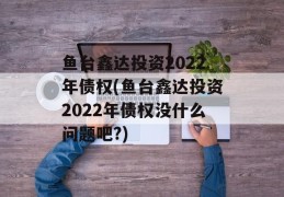 鱼台鑫达投资2022年债权(鱼台鑫达投资2022年债权没什么问题吧?)