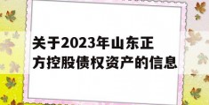 关于2023年山东正方控股债权资产的信息