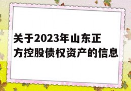 关于2023年山东正方控股债权资产的信息