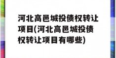 河北高邑城投债权转让项目(河北高邑城投债权转让项目有哪些)