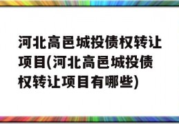 河北高邑城投债权转让项目(河北高邑城投债权转让项目有哪些)