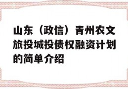 山东（政信）青州农文旅投城投债权融资计划的简单介绍