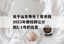 关于山东寿光昇景市政2023年债权转让计划1-1号的信息