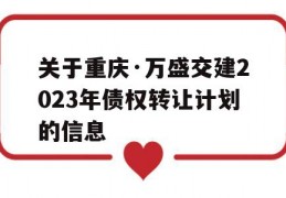 关于重庆·万盛交建2023年债权转让计划的信息