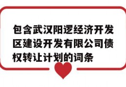 包含武汉阳逻经济开发区建设开发有限公司债权转让计划的词条