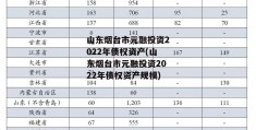 山东烟台市元融投资2022年债权资产(山东烟台市元融投资2022年债权资产规模)