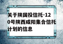 关于陕国投信托-120号陕西咸阳集合信托计划的信息