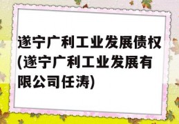 遂宁广利工业发展债权(遂宁广利工业发展有限公司任涛)