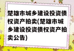 楚雄市城乡建设投资债权资产拍卖(楚雄市城乡建设投资债权资产拍卖公告)