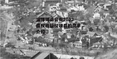 淄博博山公有2022债权收益权项目的简单介绍