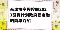 天津市宁投控股2023融资计划政府债定融的简单介绍