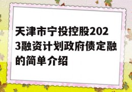 天津市宁投控股2023融资计划政府债定融的简单介绍