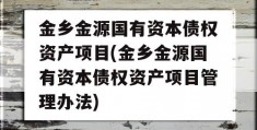 金乡金源国有资本债权资产项目(金乡金源国有资本债权资产项目管理办法)