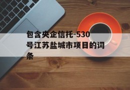 包含央企信托-530号江苏盐城市项目的词条