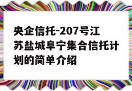 央企信托-207号江苏盐城阜宁集合信托计划的简单介绍