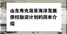 山东寿光晟景海洋发展债权融资计划的简单介绍