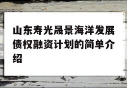 山东寿光晟景海洋发展债权融资计划的简单介绍