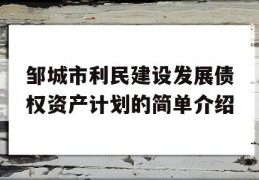 邹城市利民建设发展债权资产计划的简单介绍