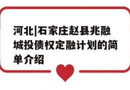 河北|石家庄赵县兆融城投债权定融计划的简单介绍