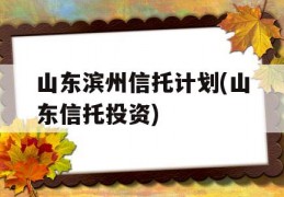 山东滨州信托计划(山东信托投资)