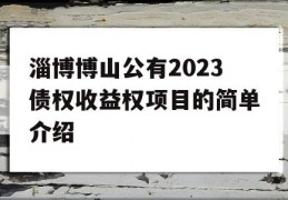 淄博博山公有2023债权收益权项目的简单介绍