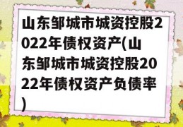 山东邹城市城资控股2022年债权资产(山东邹城市城资控股2022年债权资产负债率)