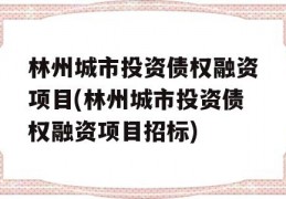 林州城市投资债权融资项目(林州城市投资债权融资项目招标)