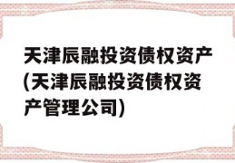 天津辰融投资债权资产(天津辰融投资债权资产管理公司)