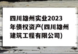 四川雄州实业2023年债权资产(四川雄州建筑工程有限公司)