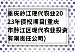 重庆黔江现代农业2023年债权项目(重庆市黔江区现代农业投资有限责任公司)