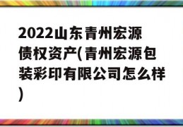 2022山东青州宏源债权资产(青州宏源包装彩印有限公司怎么样)