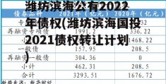 潍坊滨海公有2022年债权(潍坊滨海国投2021债权转让计划)