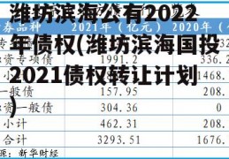 潍坊滨海公有2022年债权(潍坊滨海国投2021债权转让计划)