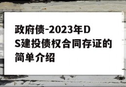 政府债-2023年DS建投债权合同存证的简单介绍