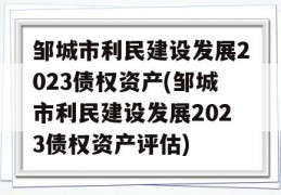 邹城市利民建设发展2023债权资产(邹城市利民建设发展2023债权资产评估)