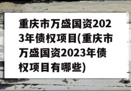 重庆市万盛国资2023年债权项目(重庆市万盛国资2023年债权项目有哪些)