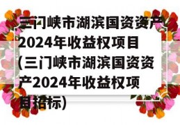 三门峡市湖滨国资资产2024年收益权项目(三门峡市湖滨国资资产2024年收益权项目招标)