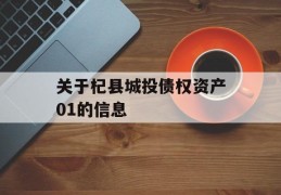 关于杞县城投债权资产01的信息