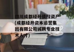 四川成都经开债权资产(成都经开资本运营集团有限公司诚聘专业技术人才)