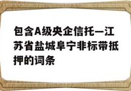 包含A级央企信托—江苏省盐城阜宁非标带抵押的词条