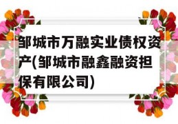 邹城市万融实业债权资产(邹城市融鑫融资担保有限公司)