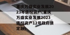 重庆万盛实业发展2023年债权资产(重庆万盛实业发展2023债权资产12号政府债定融)