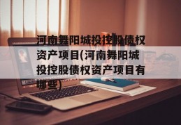 河南舞阳城投控股债权资产项目(河南舞阳城投控股债权资产项目有哪些)