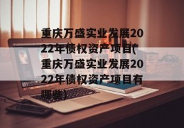 重庆万盛实业发展2022年债权资产项目(重庆万盛实业发展2022年债权资产项目有哪些)