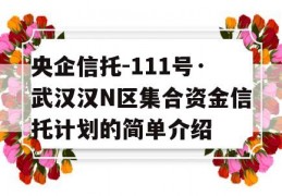 央企信托-111号·武汉汉N区集合资金信托计划的简单介绍