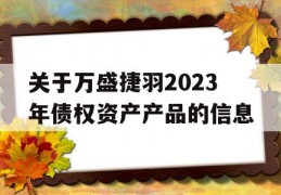 关于万盛捷羽2023年债权资产产品的信息