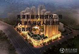 天津东丽市政债权二号(天津东丽区人民法院公告网)