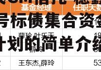 国民GM信托-稳鑫110号标债集合资金信托计划的简单介绍